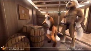 Fox in the stables