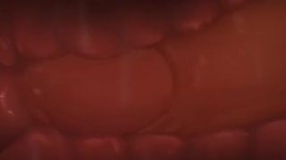 Charizard X Braixen (Pokemon Hentai by Zonkpunch)