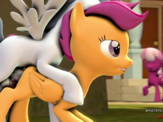 Mlp Scootaloo Porn - scootaloo Free Hentai XXX Sex Videos HD - Free Hentai