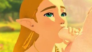 Princess Zelda Sucks Dick (botw)