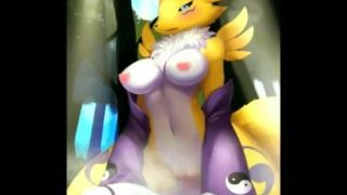 Renamon: Digimon Tamers – Wolflong (Furry Wet Dream)