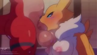 Furry Porn ZonkPunch