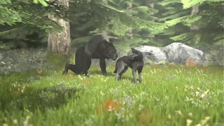 animation werewolf feral sex